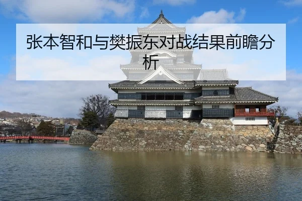 张本智和与樊振东对战结果前瞻分析